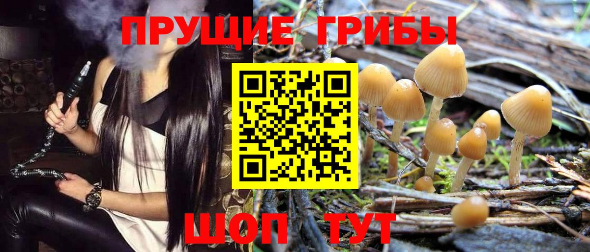 купить   Псилоцибиновые грибы ЛСД  Вход с VPN  Псилоцибиновые грибы GOLDEN TEACHER  Минусинск 
