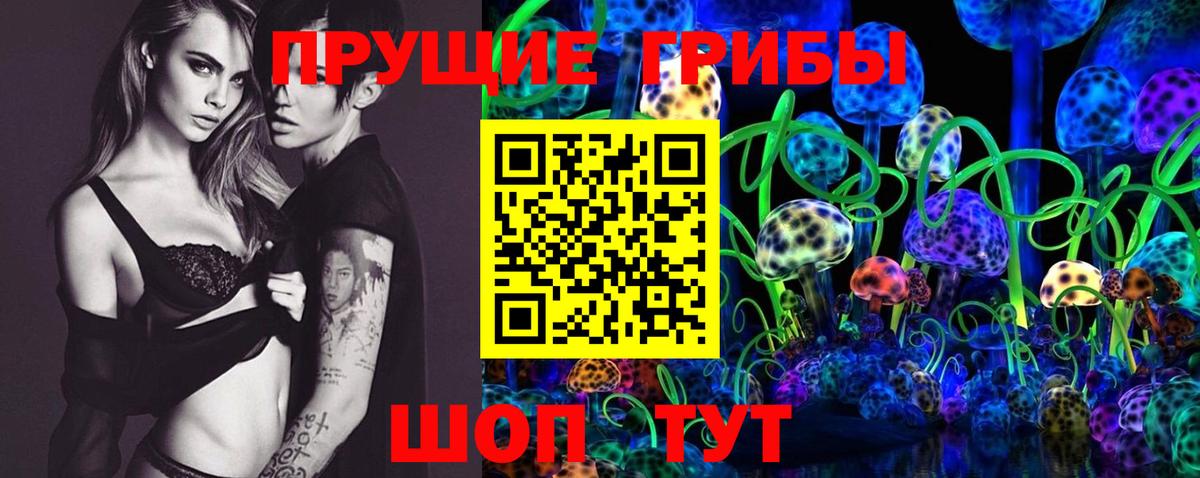 Псилоцибиновые грибы мицелий Минусинск